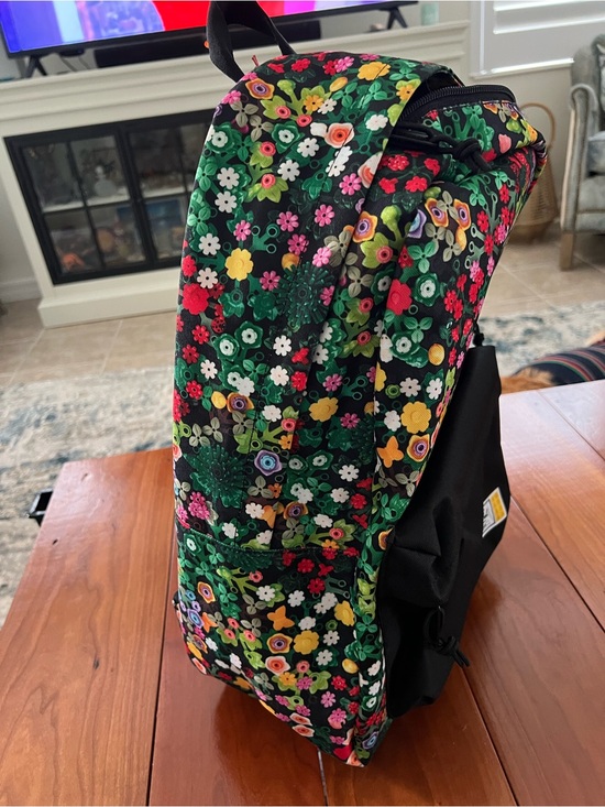 patagonia blue duffle bag Black Hole Duffel 40L Color:LAUREL WREATH GREEN/SILVER BLU Buyer: Nancy Buy and sell on There are padded removable